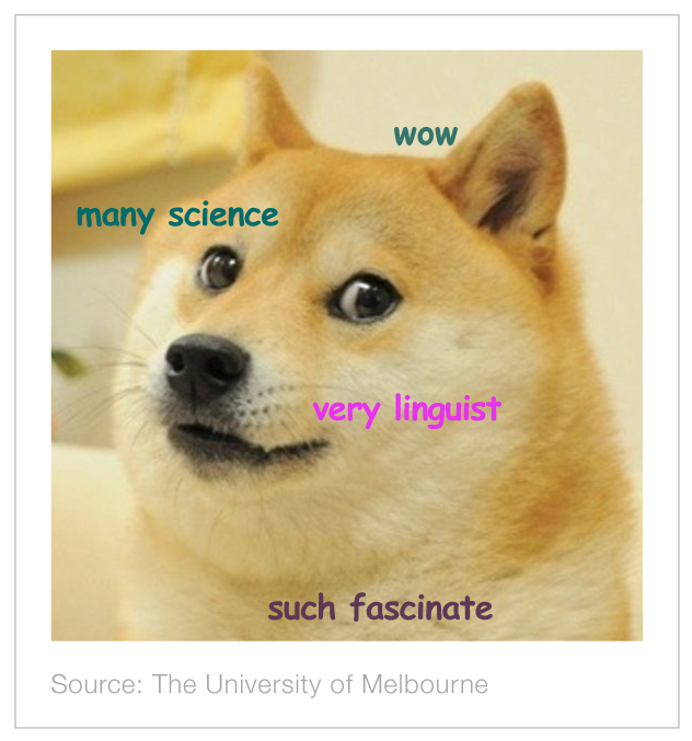 A Doge Meme