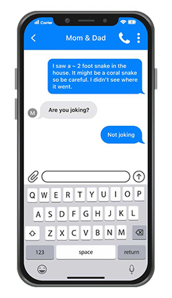 Text message conversation on a cell phone